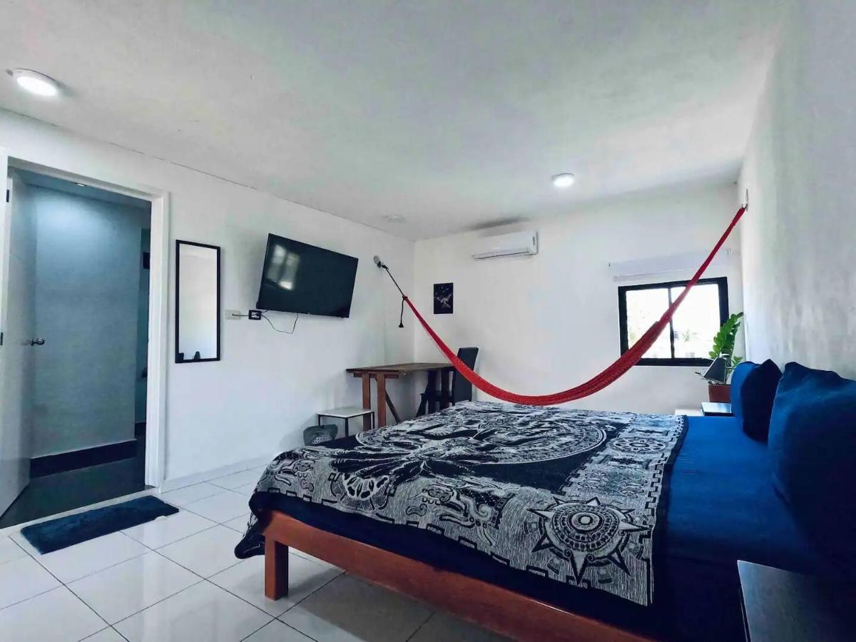 La Perle Noire - Dive Hotel Cozumel Luaran gambar